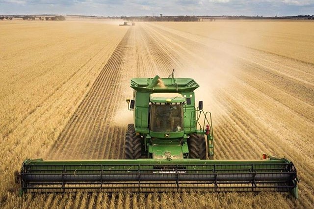 A drone photo of a header harvesting a crop.