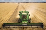 A drone photo of a header harvesting a crop.