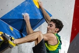 A man wearing green and gold jersey clings to a boulder wall with two hands and a toe