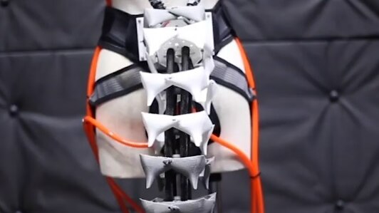 An image of a white, black and orange robotic tail built by Japanese researchers.
