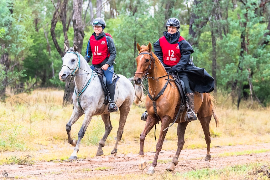 Two women riding horses with helmets and red bibs on.
