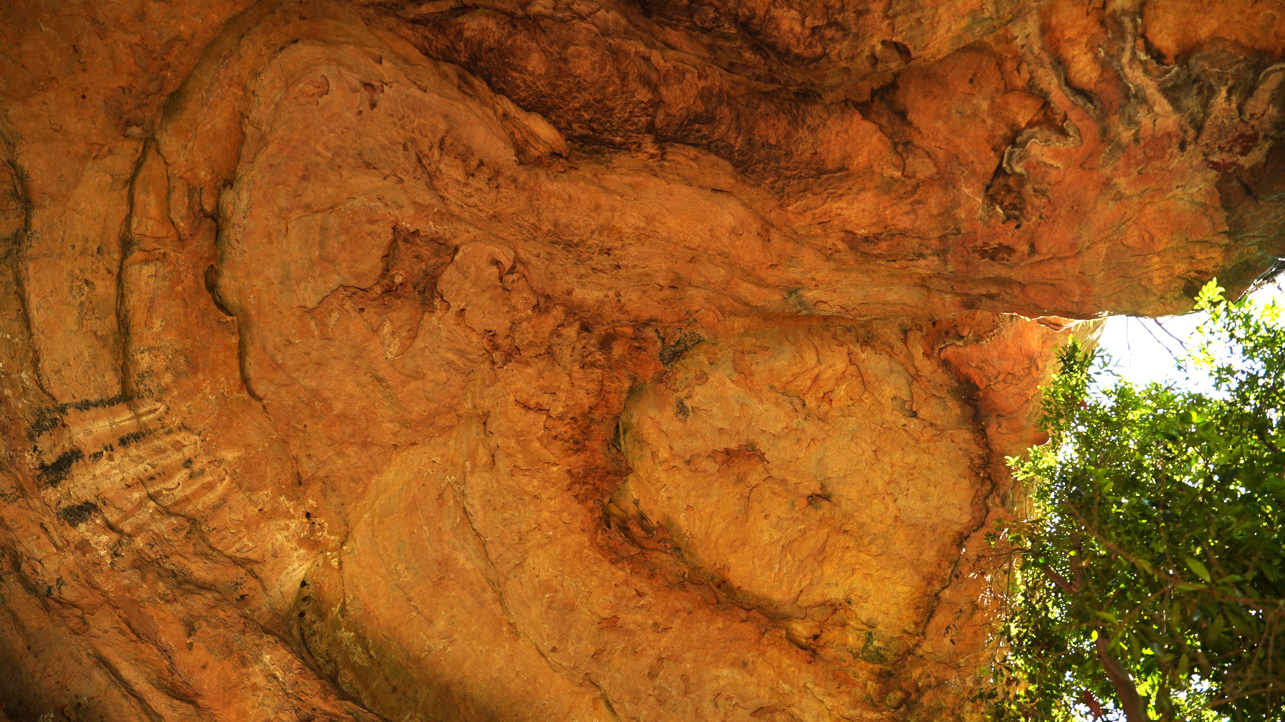 The ceiling of a cave.