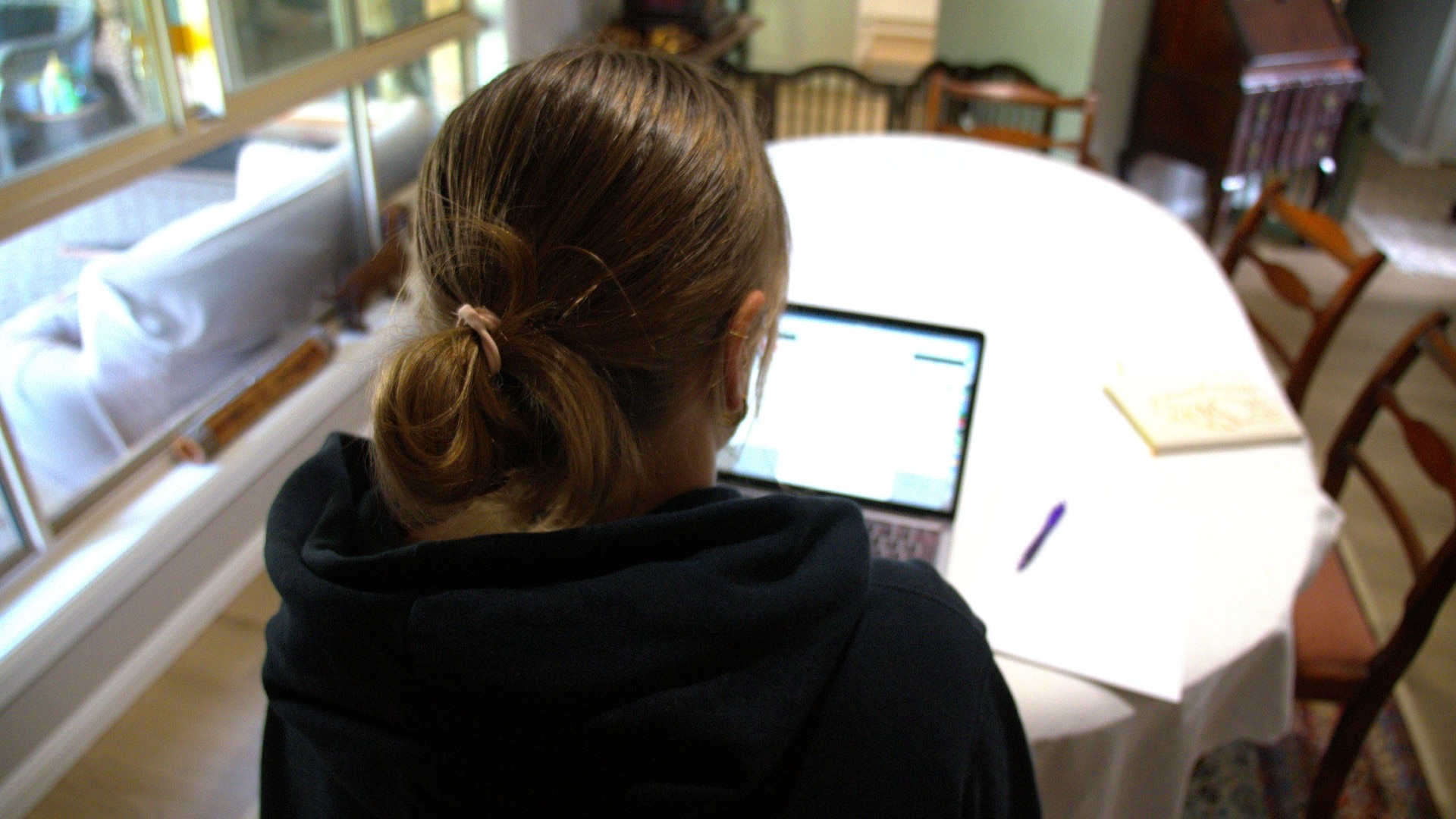 Woman with back to the camera examines laptop at kitchen table