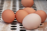 Eggs on a conveyer belt