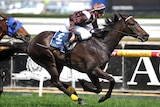 Descarado returns to form in Caulfield Stakes