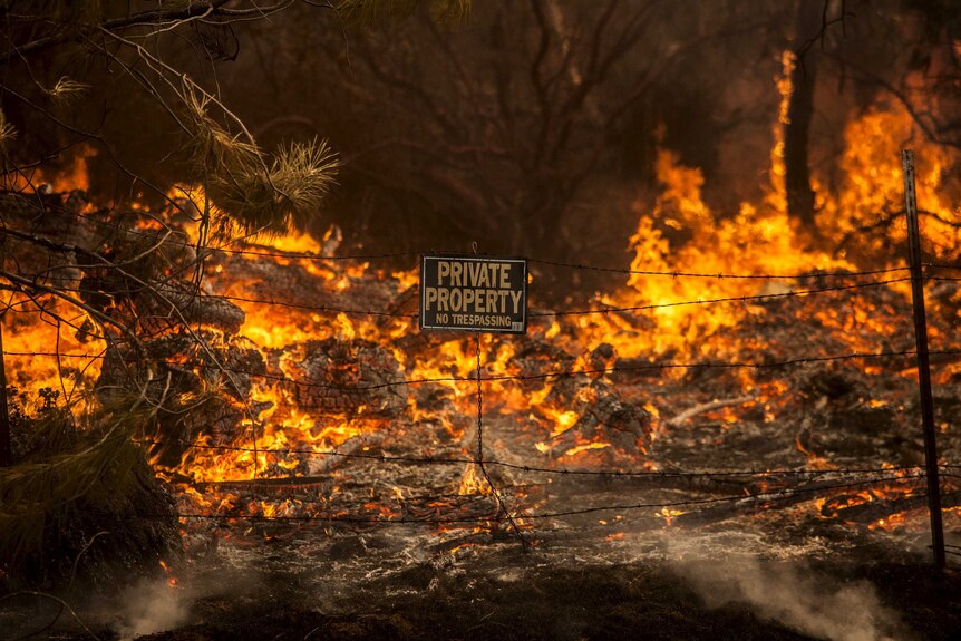 California wildfire burns through a fence