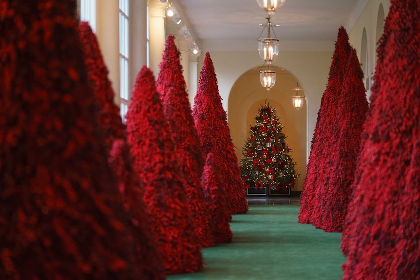 A hallway lined with red Christmas trees.