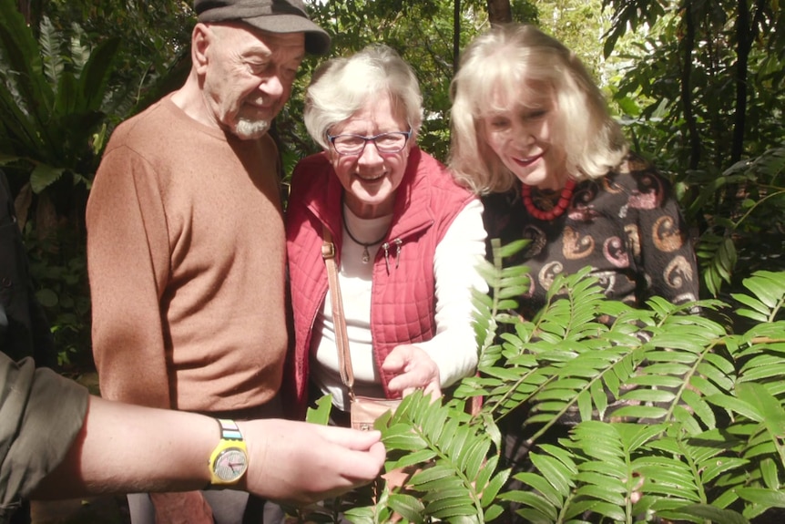 Elderly people look at and touch a giant fern.