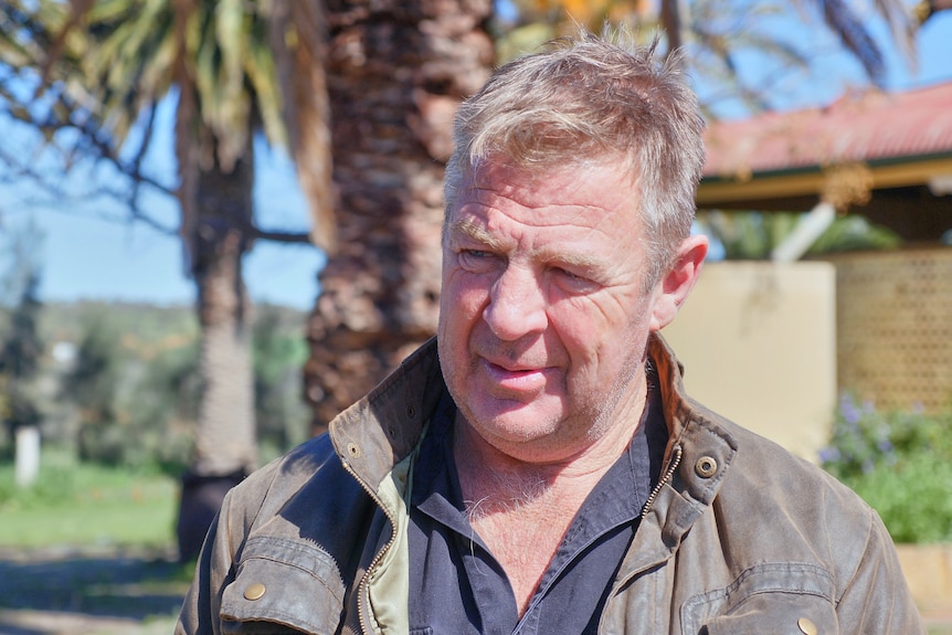 Headshot of middle-aged man with blonde hair with blurry palm trees in background 