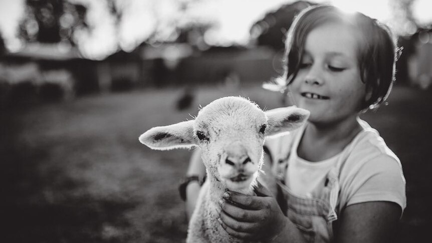 A young girl holds a lamb.