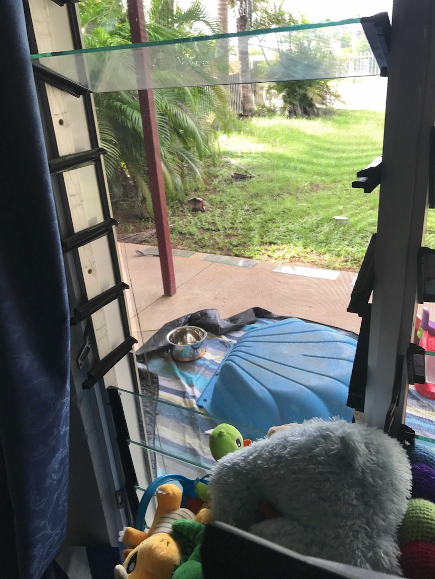 A view looking out a window which was broken showing a torn flyscreen and missing louvres.