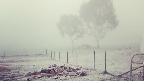 Mist and frost cover a rural landscape