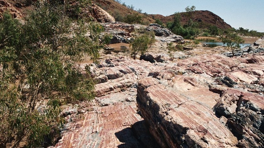 Bands of haematite in the Marble Bar Cherst reveal the presence of aerobic bacteria nearly 3.5 billion years ago, say researchers