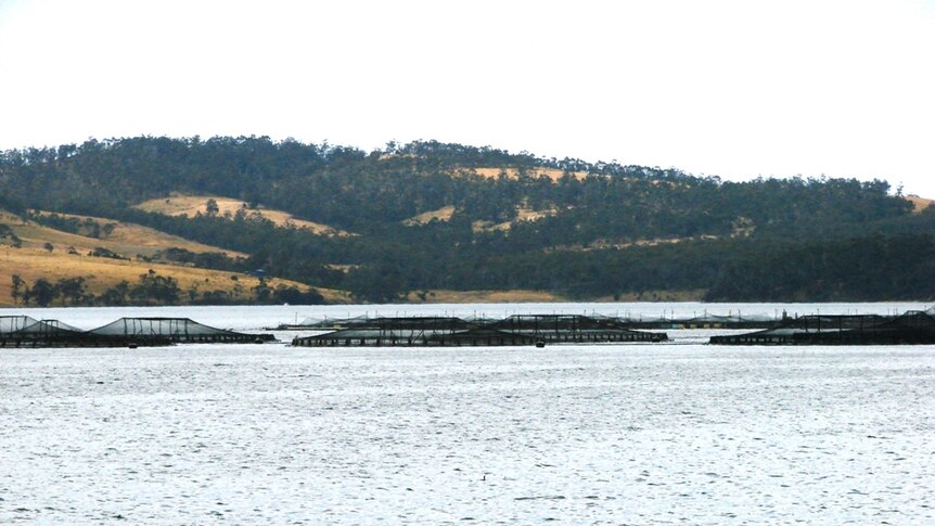 Looking across a lake showing fish farms in the water