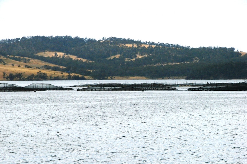 Looking across a lake showing fish farms in the water