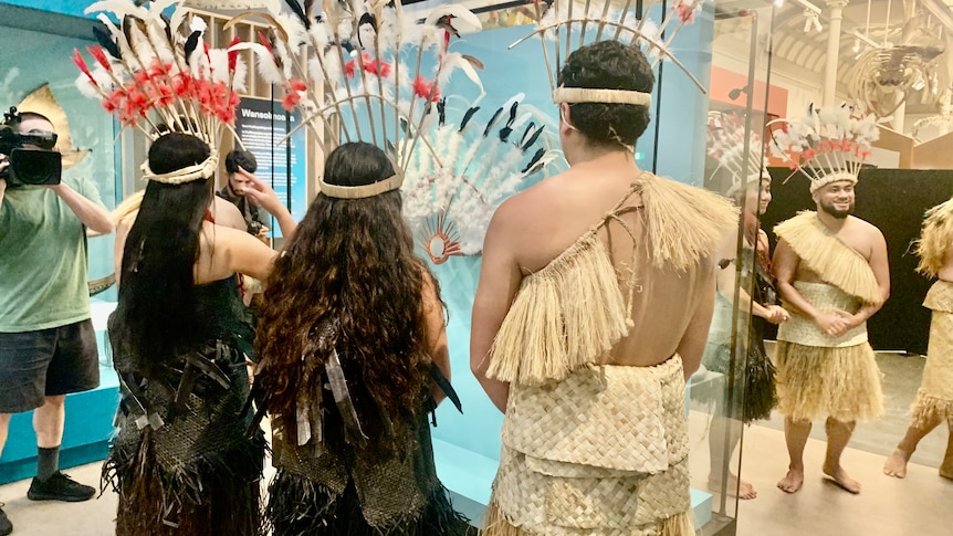 Three people in traditional Pacific Island attire stand with their back to the camera looking at a display of Pacific art 