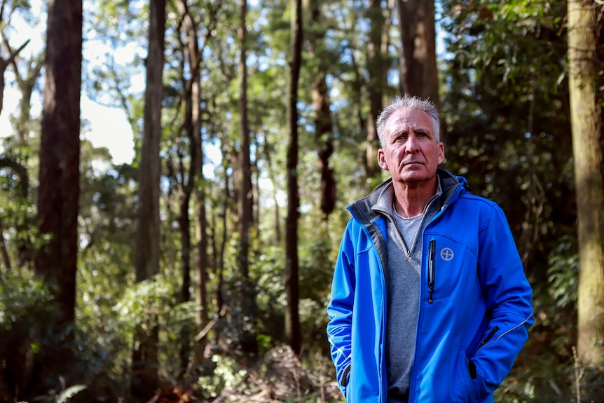 A man wearing a bright blue jacket with grey hair, stands in a forest of tall trees. 