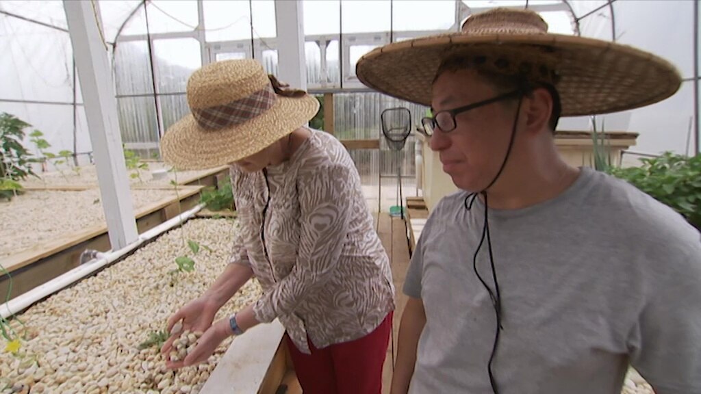 Gardening Australia recap: The compost, fertiliser and Tino's magic dirt edition - ABC Everyday