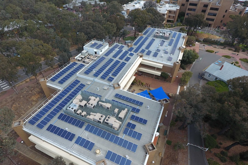 Aerial image of the flat roof of a large university building that is neatly covered with solar panels