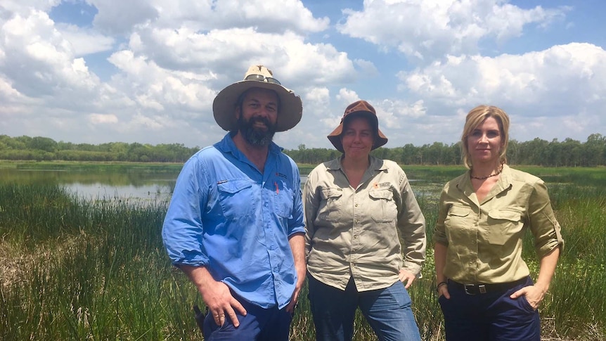 A widespread emergency response team have begun surveying wetlands around Darwin's Rural Area to ensure the highly invasive weed Sagittaria hasn't spread.