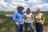 A widespread emergency response team have begun surveying wetlands around Darwin's Rural Area to ensure the highly invasive weed Sagittaria hasn't spread.