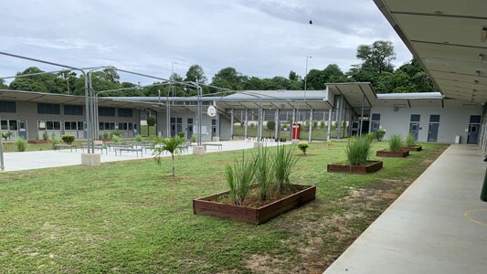 Grassed area with basketball courts, sparse wooden planter garden boxes with grass plants in them.