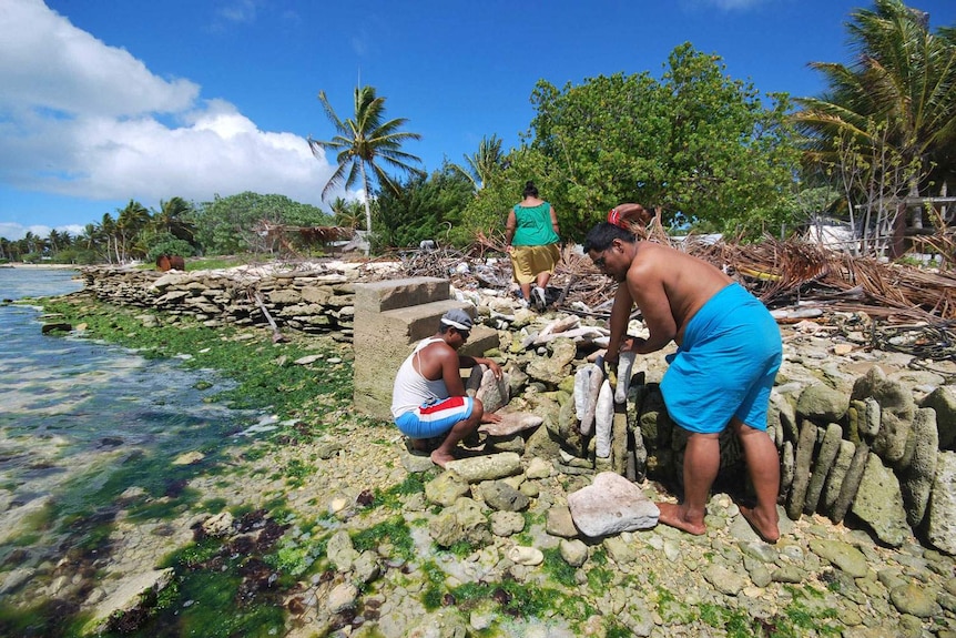 Kiribati residents build a sea wall