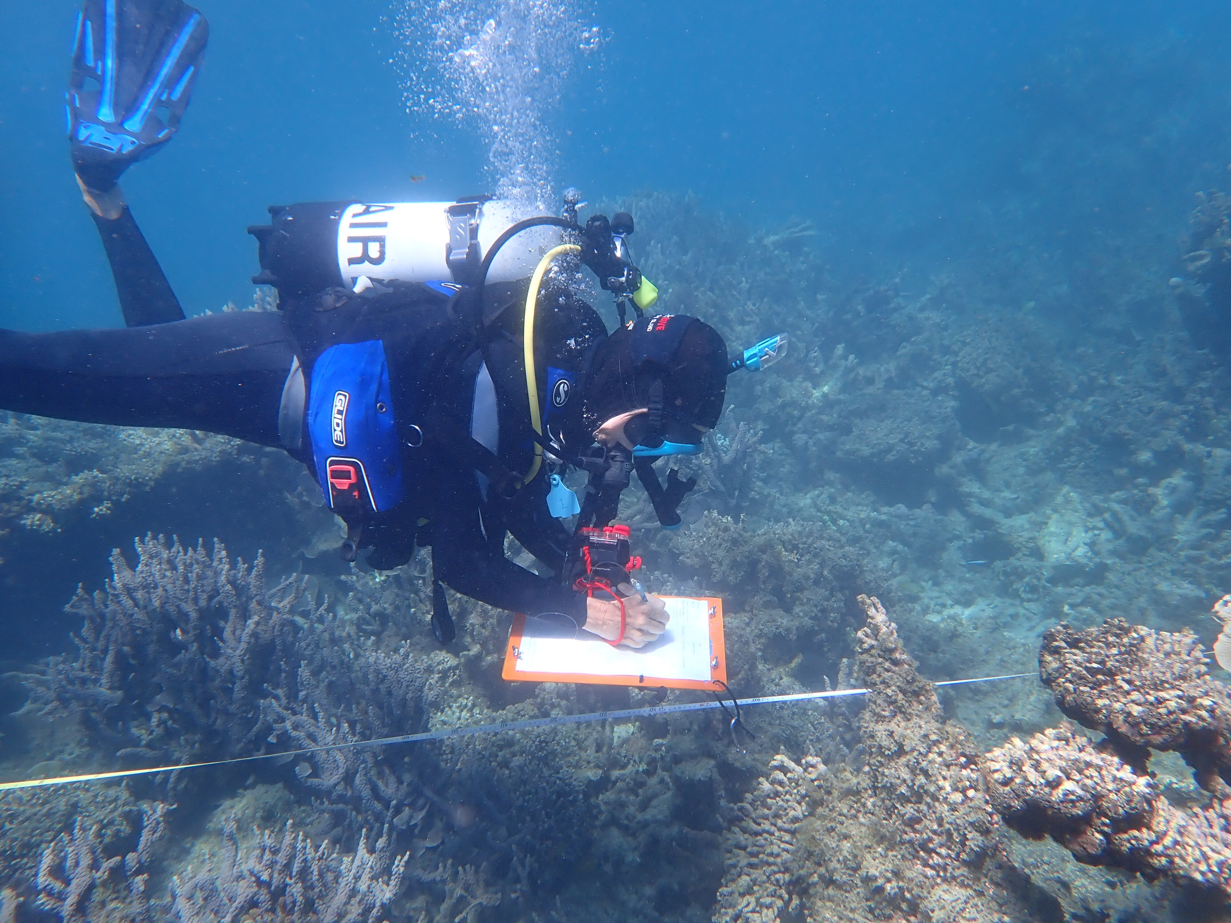 A female scuba diver writes on an underwater clipboard.