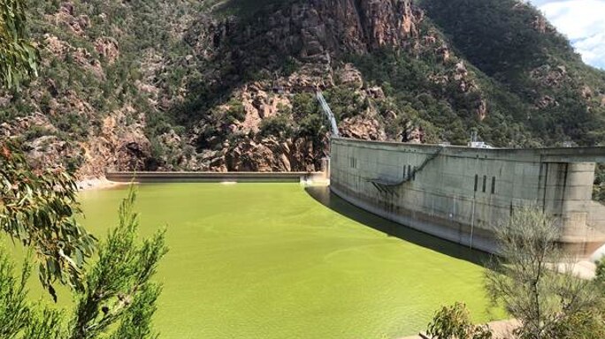 The water at Lake Burrinjuck is green at the top of the dam.