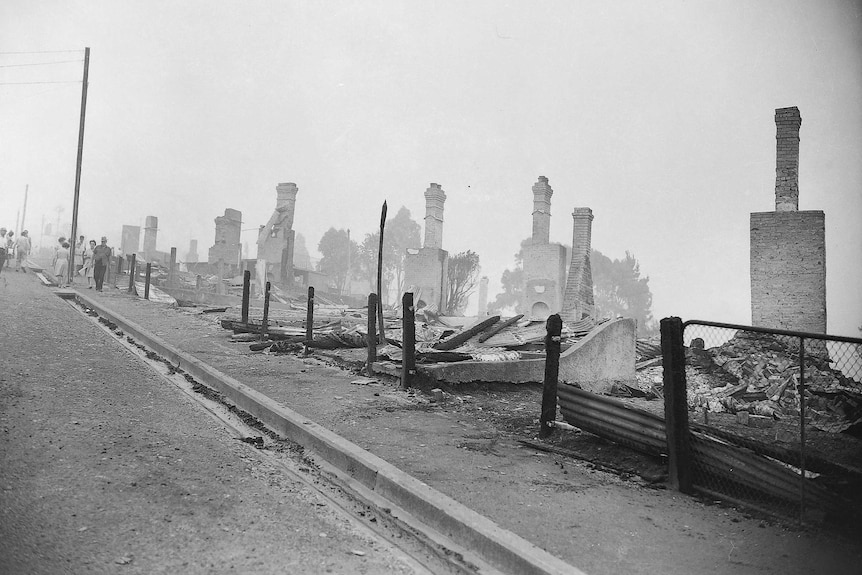 Forest Road West Hobart after 1967 bushfires