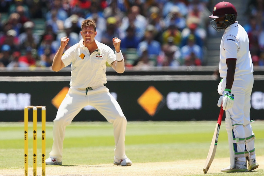 James Pattinson celebrates the wicket of Kemar Roach