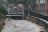 Floodwater rushes through Hobart's rivulet