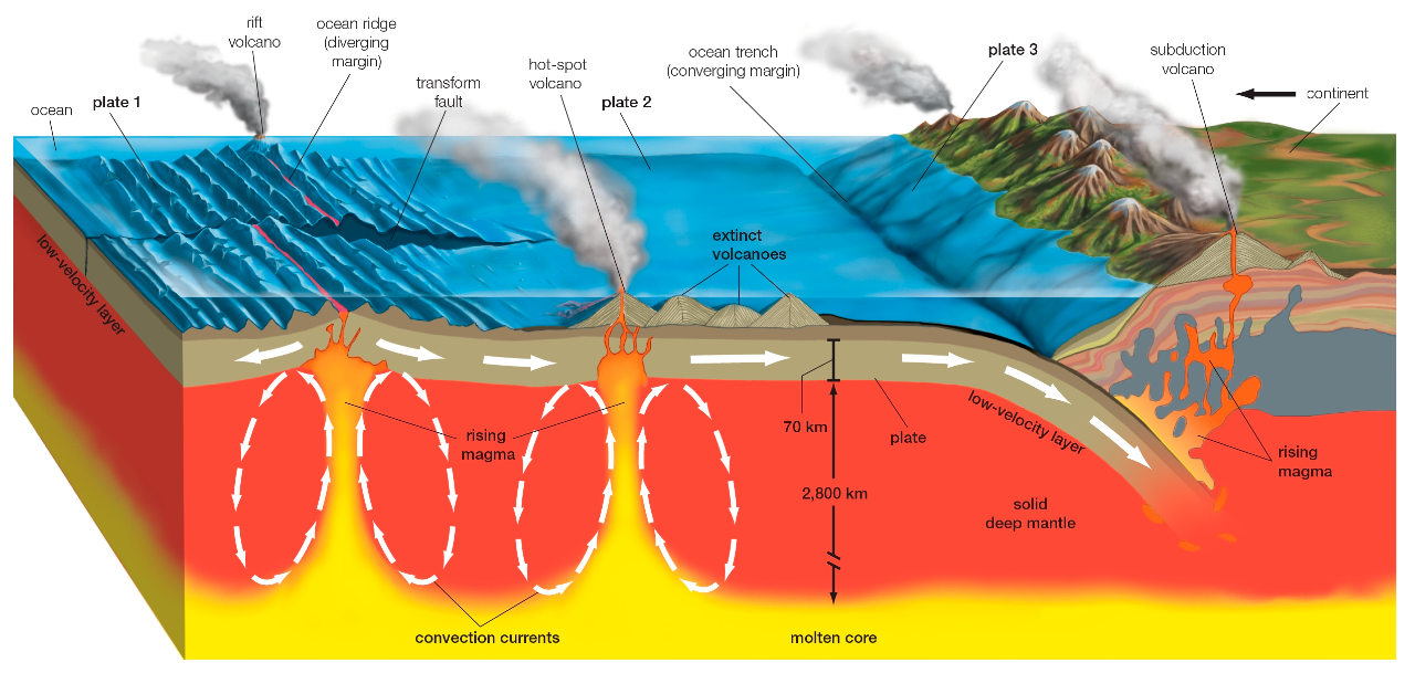 Graphic of volcanic activity and Earth's tectonic plates.