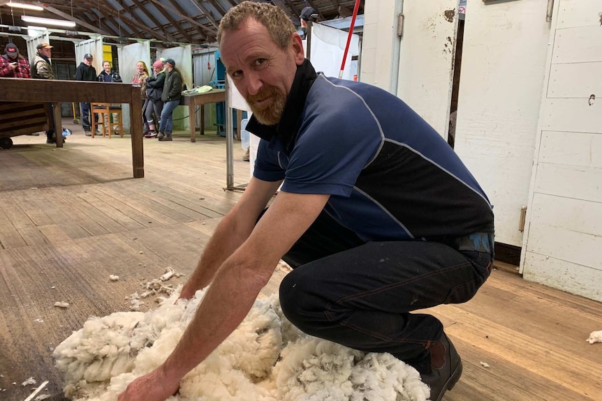 Matthew Haney crouches down in a shearing shed over some freshly shorn wool