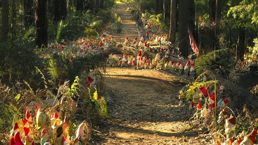 Lots of garden gnomes on a path through a forest.