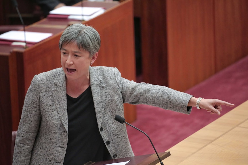 Penny Wong points as she stands at the despatch box in the Senate