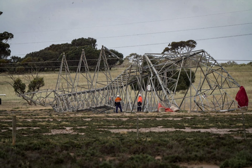 A toppled transmission tower just outside Tailem Bend.
