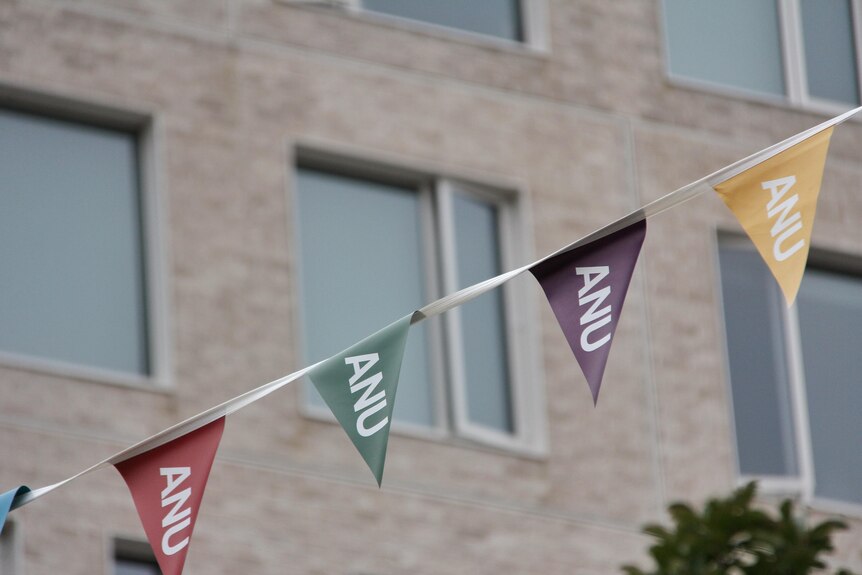 Small coloured flags that have the letters ANU on them.