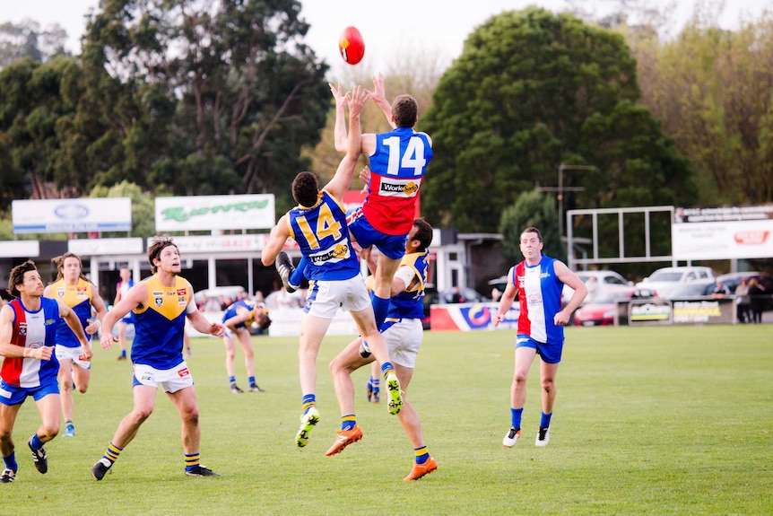 Ben Amberg jumps in the air to take a mark during a game.