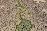 aerial shot of lake winding through parched landscape