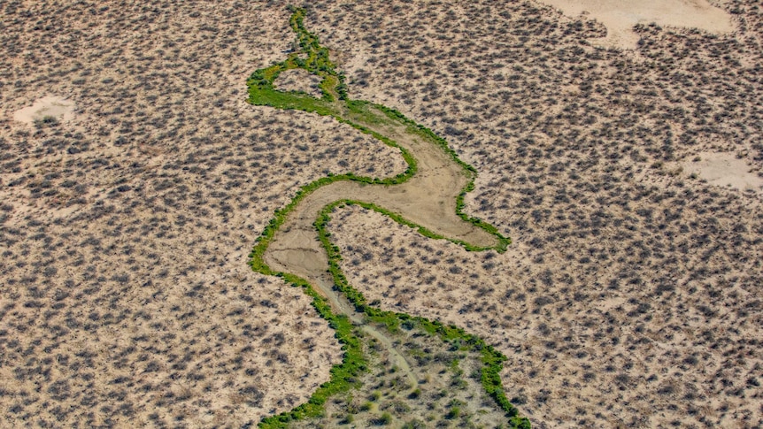 aerial shot of lake winding through parched landscape