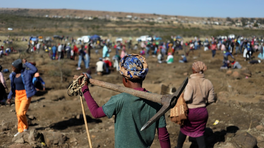 A woman stands in the foreground with a pickaxe in Ladysmith with hundreds others in the background searching for diamonds