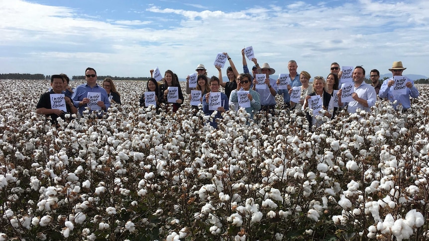 Fashion designers and brand managers stand in cotton fields holding signs reading "we made your clothes".