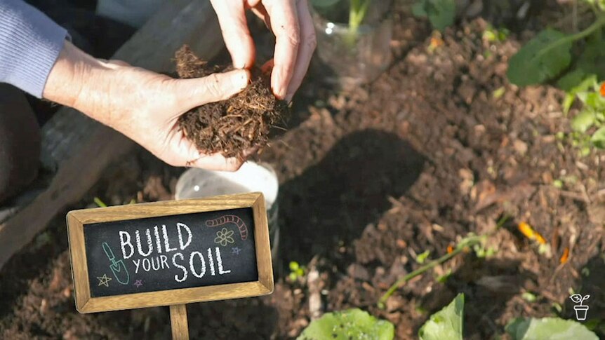 A garden with a chalk board with text 'Build Your Soil.'