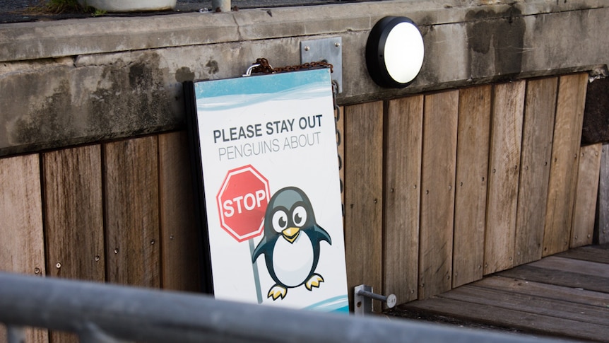 Penguin poster warning