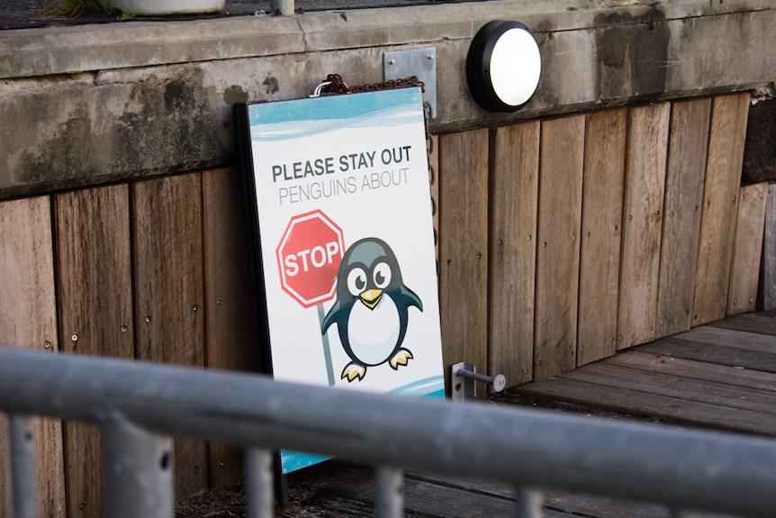 Penguin poster warning