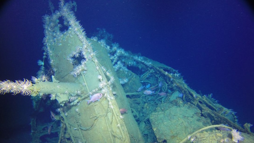 Underwater photo of a submarine wreck, covered in sea creatures