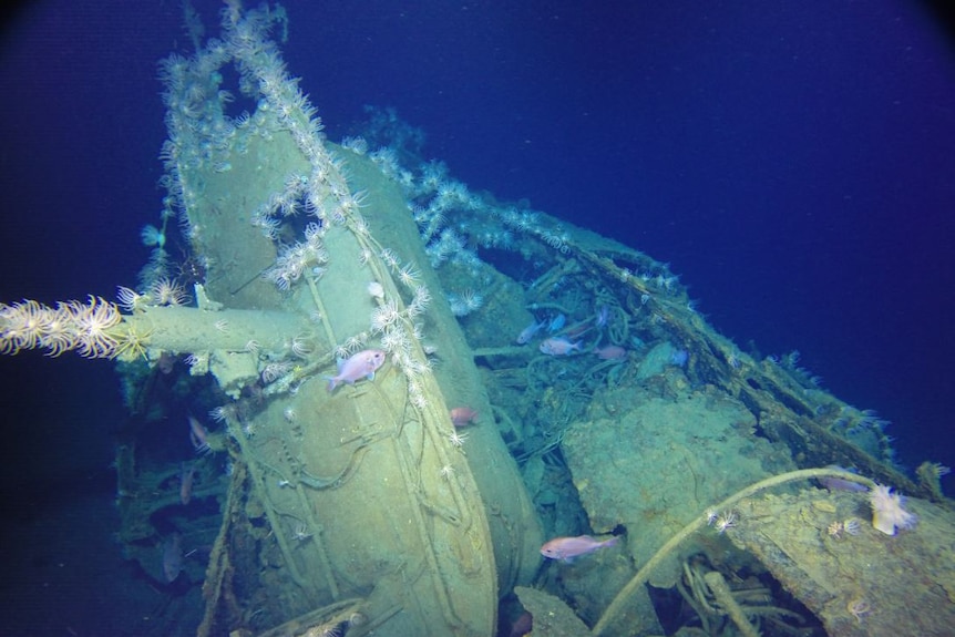 Underwater photo of a submarine wreck, covered in sea creatures