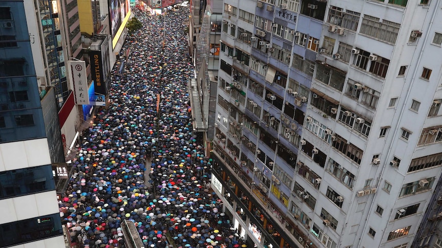 A top down shot of a sea of umbrellas moving down a Hong Kong Street.