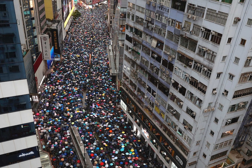 A top down shot of a sea of umbrellas moving down a Hong Kong Street.